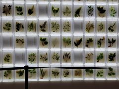 -广东中医药博物馆