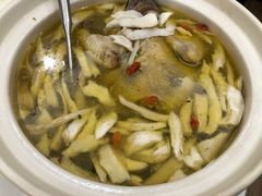 -丁老爷子苏香圆