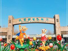 -北京野生动物园