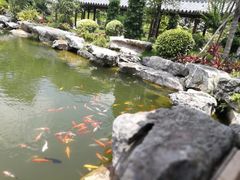 -谷丰健康凤贤居酒家