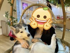 -Husky Go! 哈士奇体验馆·宠物咖啡厅狗咖