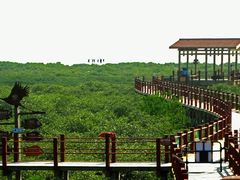 -北海金海湾红树林生态旅游区