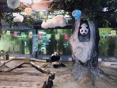 -海南热带野生动植物园