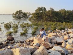 -宝安西湾红树林湿地公园