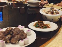 -成都保利公园皇冠假日酒店(熊猫基地店)