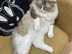 -白兔子密室(长寿路店)