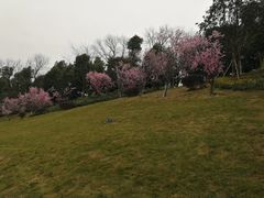-东岳体育公园