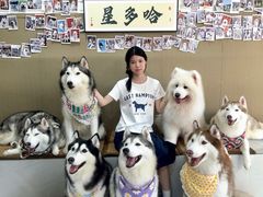 -星多哈·狗咖·拼豆·咖啡