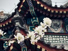 -颐和园
