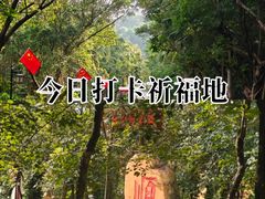 -三水森林公园