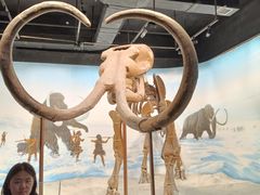 -辽宁古生物博物馆