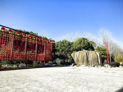 -合肥滨湖国家森林公园