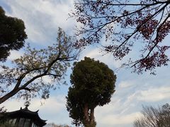 -拙政园