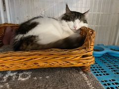 -小时光咖啡馆(北锣鼓巷店)