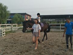 -月河湾马术俱乐部(朝阳店)