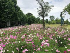 -钟山体育运动公园