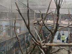 -成都动物园