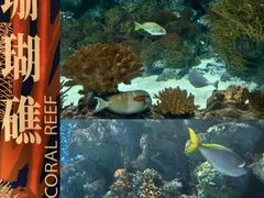 -上海海洋水族馆