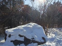 -北京西山国家森林公园