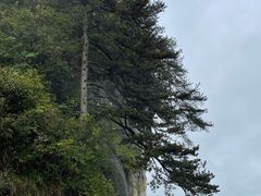 -光雾山旅游景区