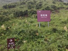 -灵山