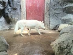 -杭州野生动物世界
