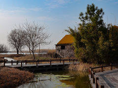 -宁波杭州湾国家湿地公园