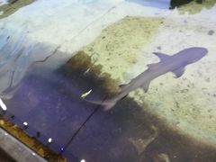 -鸿通城购物中心