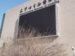 -辽宁古生物博物馆