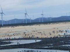 -长江澳风力发电景观区