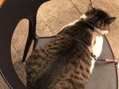 -蜀九香火锅(九眼桥店)