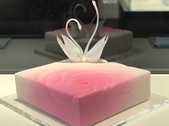 -BLACKSWAN黑天鹅(环球店)