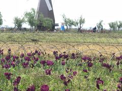 -漩门湾国家湿地公园