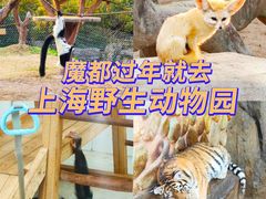 -上海野生动物园