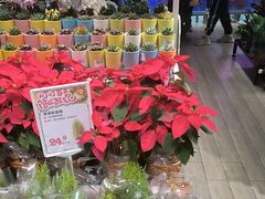 -大润发(花都店)