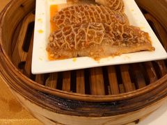 卤水金钱肚-新海利海鲜城·41年珠海老字号(夏湾店)