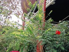 -月圆霖特色农家乐