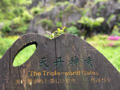 -千岛湖石林