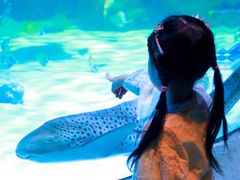 -沈阳海洋探索中心