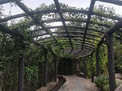-梁野山景区