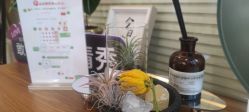 -倩极·精研痘敏肌管理