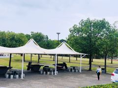 景点-东方绿舟景区