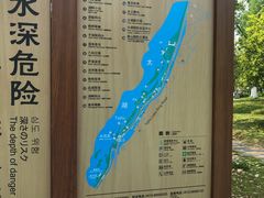 -太湖湖滨国家湿地公园-停车场