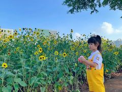-二沙岛艺术公园