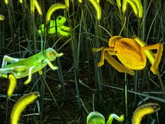 -燕郊植物园
