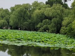 -北陵公园