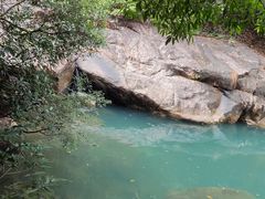 -广州白江湖森林公园