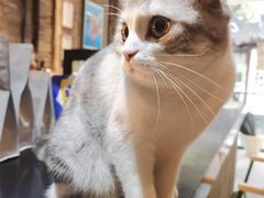 -作咖啡(养育巷店)