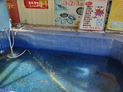 -鸿渡渔庄·特色鸭咀鱼