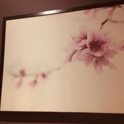 -时尚殿堂·颜SPA